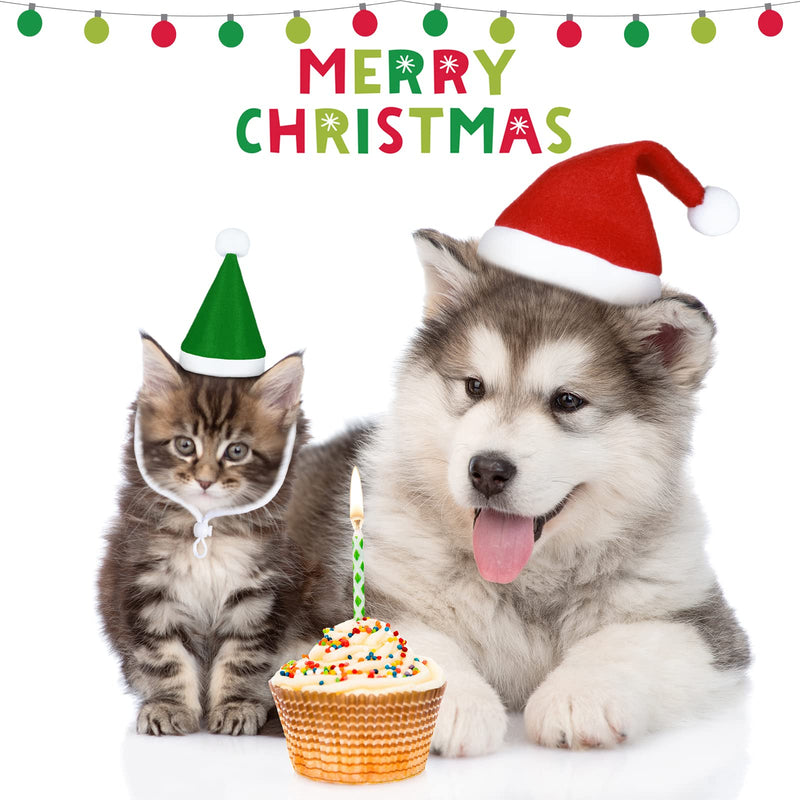 Xuniea Cat Christmas Hats 4 Pieces Plaid Dog Santa Hats Small Animal Hats Pet Christmas Hats Cat and Dog Pet Costumes 5.5 x 7.8 Inch, 3.5 x 4.3 Inch Red, Green Classic Pattern - BeesActive Australia