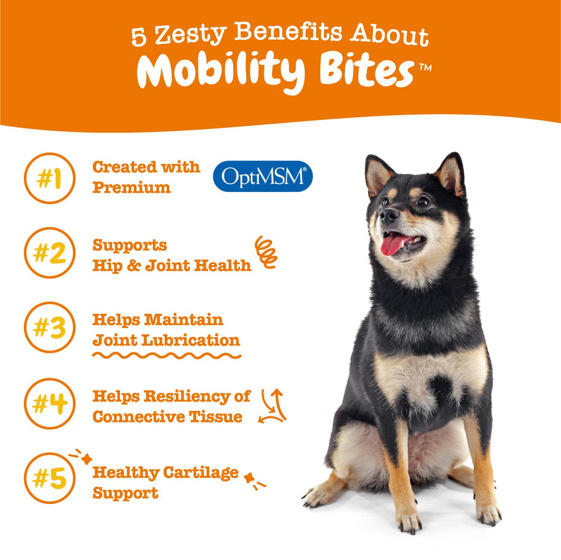 Zesty Paws Glucosamine for Dogs - Hip & Joint Health Soft Chews with Chondroitin & MSM - Functional Dog Supplement for Pet Mobility Support with Kelp + Vitamins C and E for Hips & Joints Bacon 90 Count (Pack of 1) - BeesActive Australia