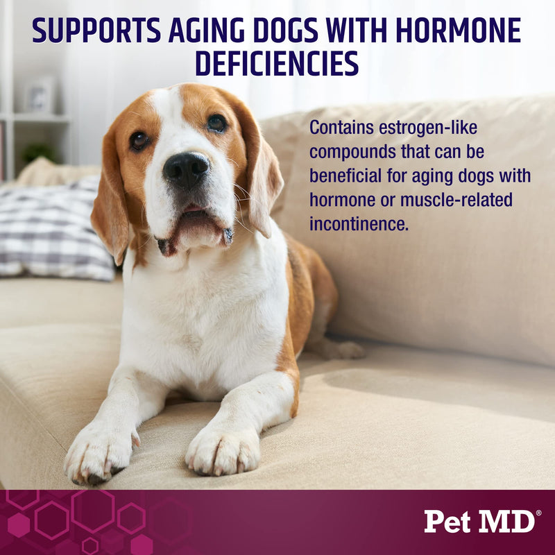 Pet MD Bladder Support Plus Cranberry for Dogs - Support Bladder Control & Urinary Tract Health - Help Relieve Dog UTI & Incontinence - Wild Yam Root & Cranberry Bladder Bites for Dogs - 60 ct - BeesActive Australia