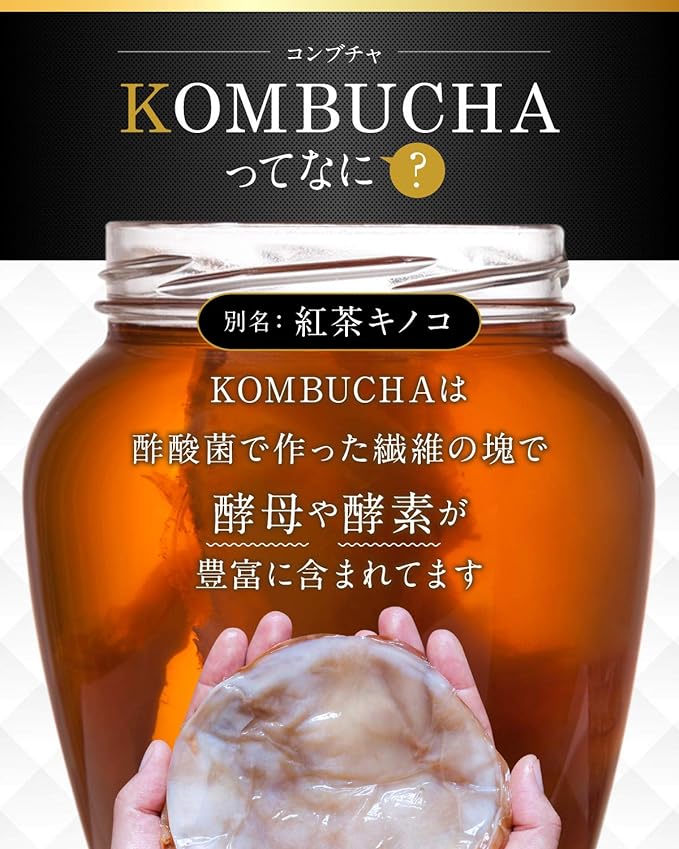 Kombucha and charcoal cleanse raw enzyme 3 types of charcoal supplement 30 days - BeesActive Australia