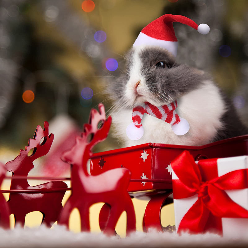Satiri 8 Pieces Small Animal Christmas Costume Mini Santa Hat Xmas Guinea Pig Hat Small Pet Christmas Hat with Scarf for Hamster Guinea Pig Chinchilla Hedgehog Lizard Bearded Dragon Xmas Party Supply - BeesActive Australia