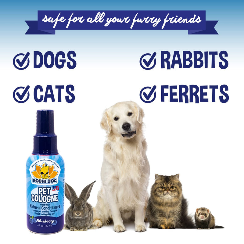 Bodhi Dog Natural Pet Cologne | Premium Scented Perfume Body Spray for Dogs and Cats | Clean and Fresh Scent | Natural Conditioning Qualities | Made in USA (Blueberry, 4oz) - BeesActive Australia