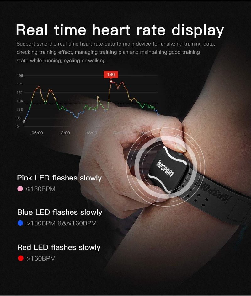 iGPSPORT Heart Rate Monitor HR60 Waterproof Smart Fitness Activity Tracker Watch, with Armband Sensor ANT+ and Bluetooth - Black - BeesActive Australia