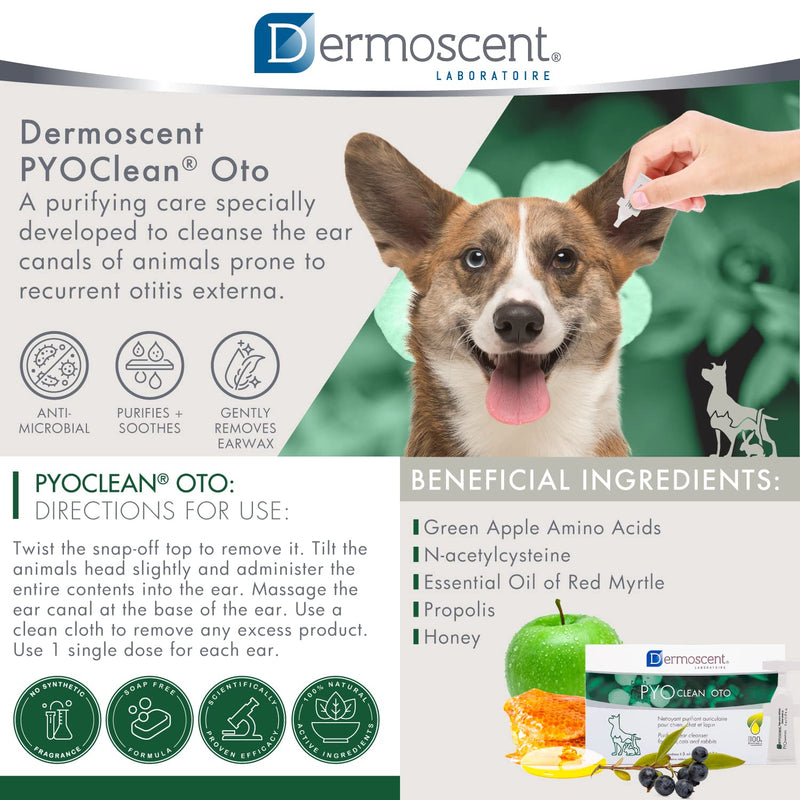 Dermoscent Pyoclean OTO Dog Ear Cleaner - Drops to Stop Head Shaking, Itchy & Waxy Ears - Non-Toxic - Ear Cleaning Solution for Dogs - BeesActive Australia