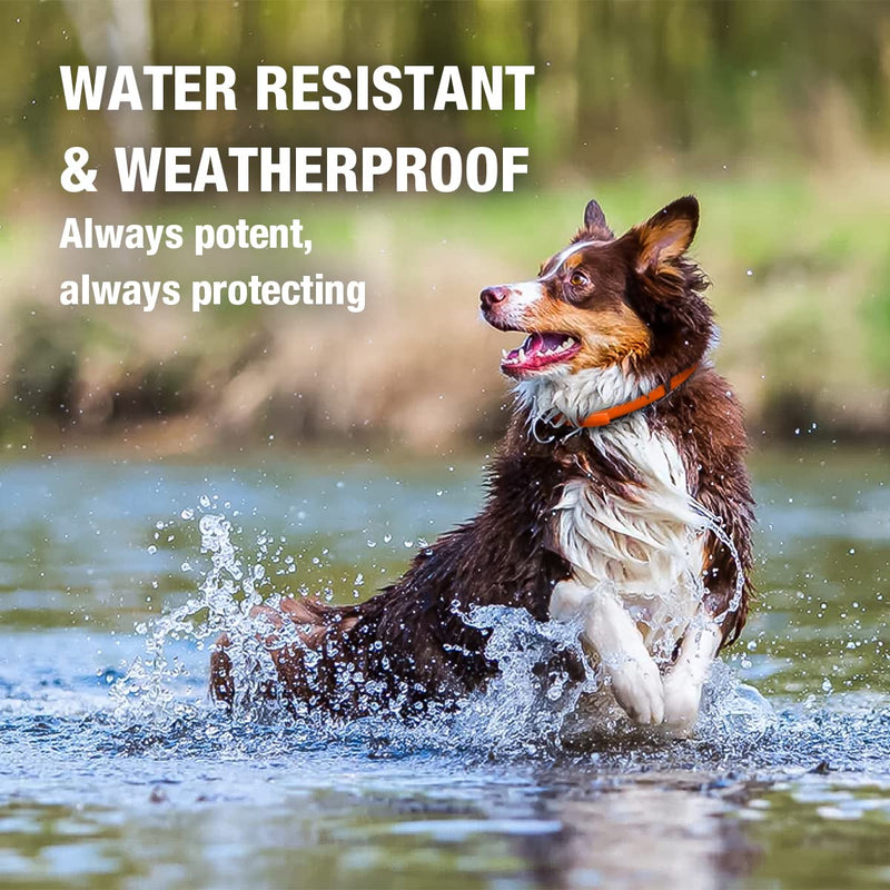 EcoVenger Dog & Cat Collar Repellent 2-Pack White, Built-in Pant-Based Formula Strong Repellency Slow Release, Lasting Deterrence and Protection, Pleasant Aroma, Waterproof Orange - BeesActive Australia