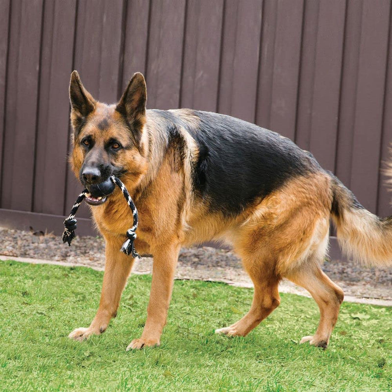 KONG Extreme Black Ball w/Rope Dog Toy Large (Pack of 1) - BeesActive Australia