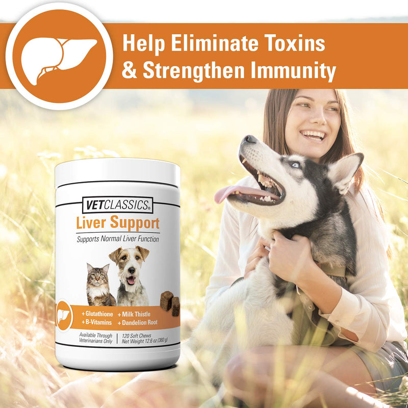 Vet Classics Liver Support Pet Health Supplement for Dogs, Cats – Liver Functions – B-Vitamins, Glutathione, Milk Thistle – Soft Tablets, Chews 120 Soft Chews - BeesActive Australia
