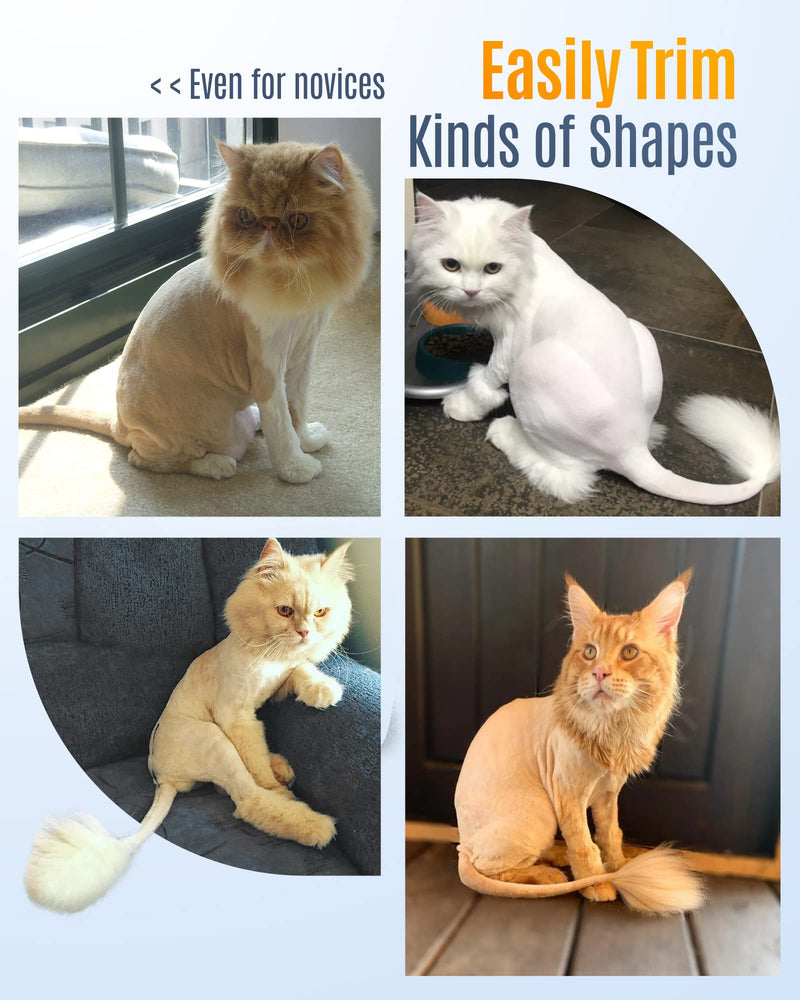 Cat Grooming Clippers for Matted Long Hair,Low Noise Cat Clippers Shaver,4 Speed Cordless Pet Clippers Kit for Cats Dogs and Pets Blue - BeesActive Australia