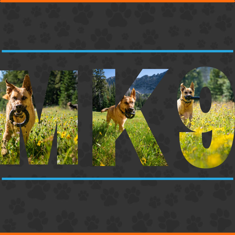 Ultra Durable Solid Dog Ball - Lifetime Replacement Guarantee - Aggressive Chewer Approved - Made in USA - Medium/Large Dogs - Safe & Non-Toxic Natural Rubber - Monster K9 Dog Toys - BeesActive Australia