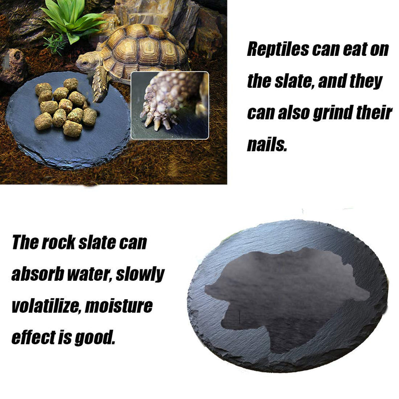 Tfwadmx Reptile Basking Platform,Tortoise Rock Slate Plate Feeding Platform Food Bowl Dish Turtle Bathing Rock Resting Terrace for Lizard Bearded Dragon Chameleon Gecko Snake Frog Newt - BeesActive Australia