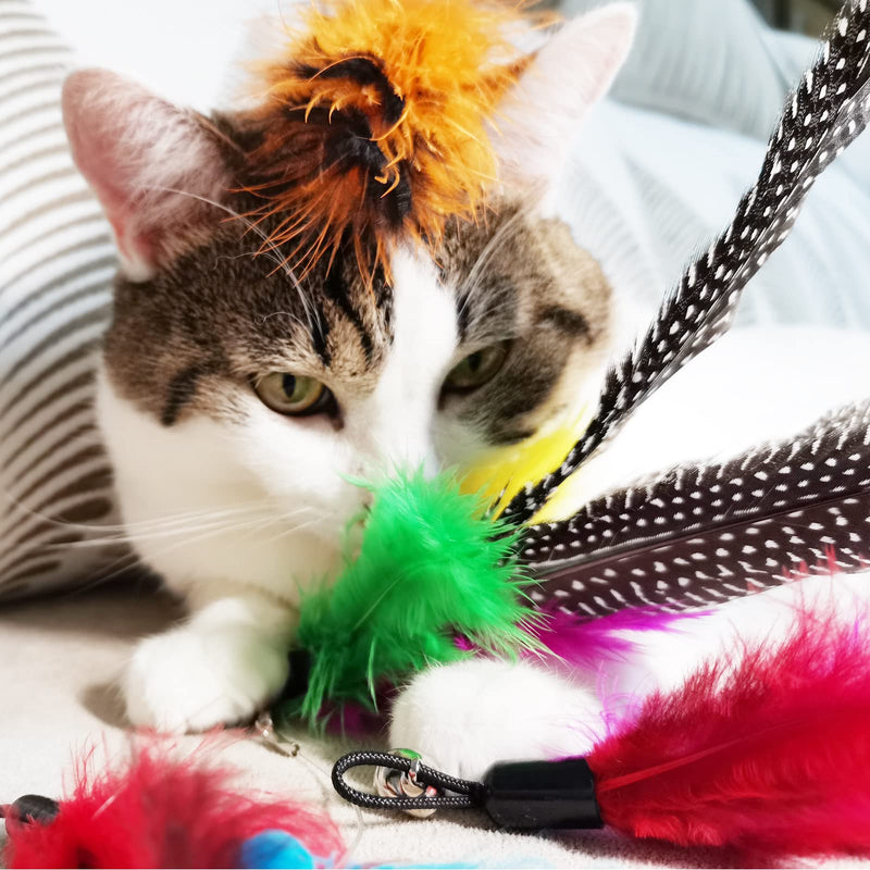 Cat Feather Toy Replacement Cat Toy Wand Teaser Refills, Natural Bird Feather Worm Refills for Indoor Cats AA-8PCS Feathers Refills - BeesActive Australia