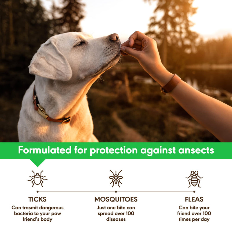 Flea and Tick Prevention for Dogs Chewables - Made in USA - Natural Flea and Tick Supplement for Dogs - Oral Flea Pills for Dogs - Pest Defense - All Breeds and Ages - Made in USA - BeesActive Australia