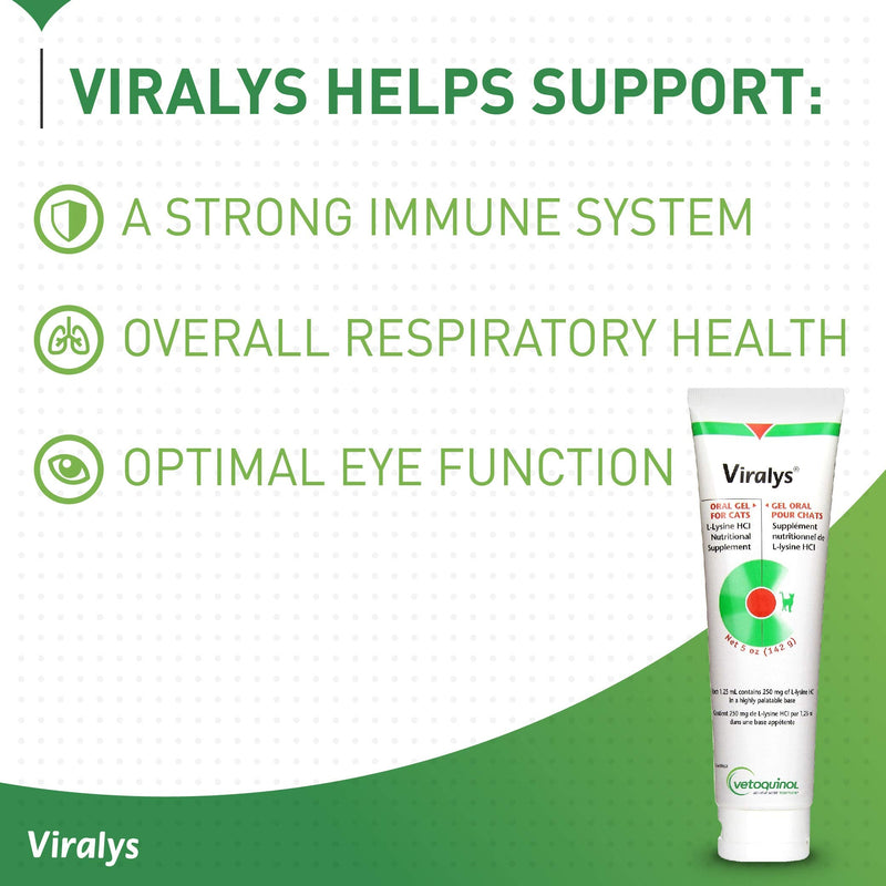 Vetoquinol Viralys Gel L-Lysine Supplement for Cats, 5oz - Cats & Kittens of All Ages - Immune Health - Sneezing, Runny Nose, Squinting, Watery Eyes - Palatable Maple Flavor Lysine Gel 5 oz - BeesActive Australia