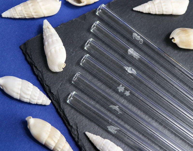 HALM Glass Straws - Sea Life Charity Edition - 6x 8 inch Reusable Drinking Straws with Ocean Animals - Cute Design - Dishwasher Safe - Eco-Friendly - Perfect for Smoothies - Made in Germany - BeesActive Australia