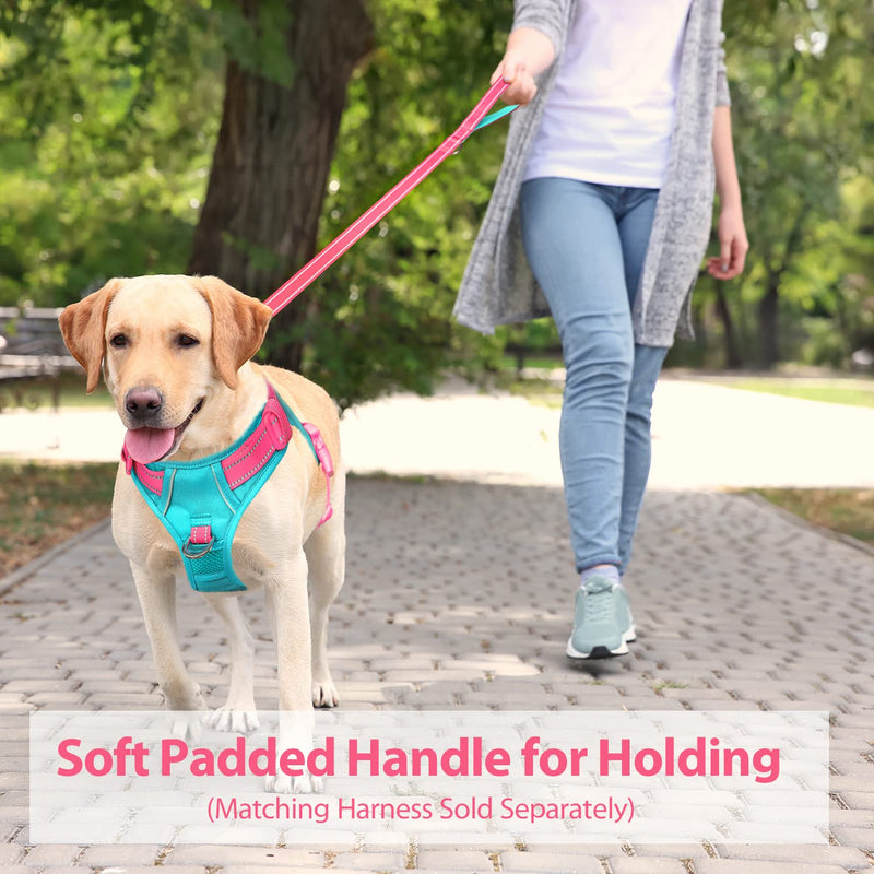 PHOEPET 5 Feet Dog Leash - Dual-Side Reflective - Soft Padded Handle - Fit for Walking, Training or Exploring Hiking, Camping L(Width: 1") Pink + Mint Green Base - BeesActive Australia