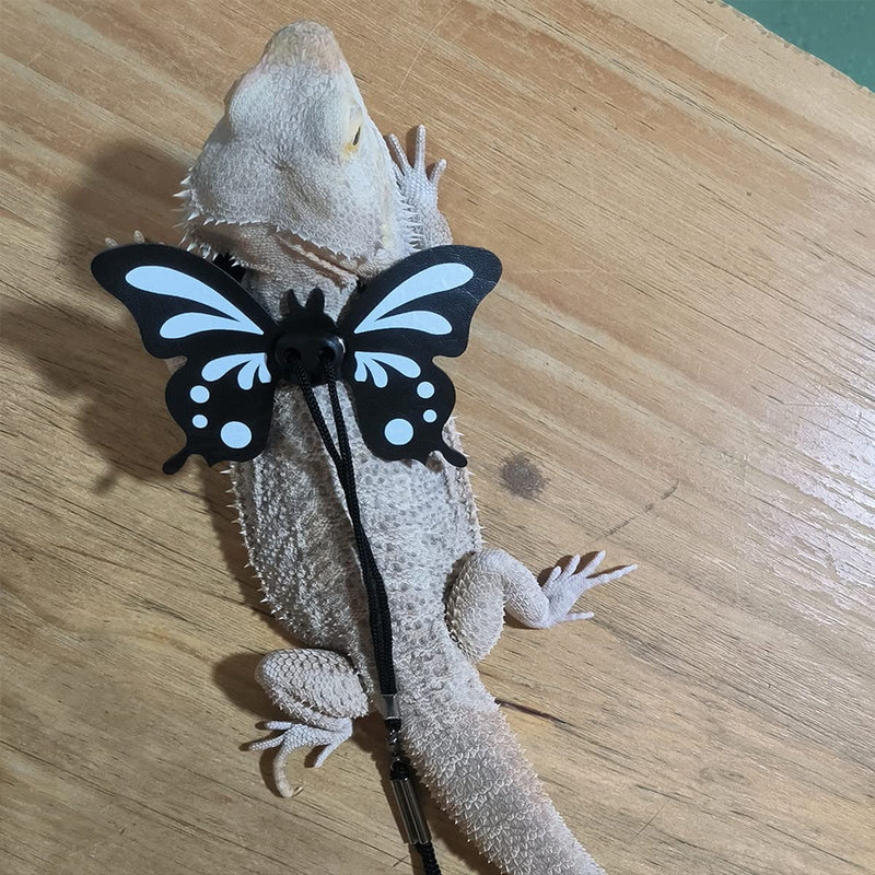 Bearded Dragon Leash and Harness - Adjustable 3 Size Pack Leather Butterfly Wings Harness Set, Lizard Costume Clothes Outdoor Walking Lead Control Rope for Iguana Gecko Chameleon Hamster Ferret Black - BeesActive Australia