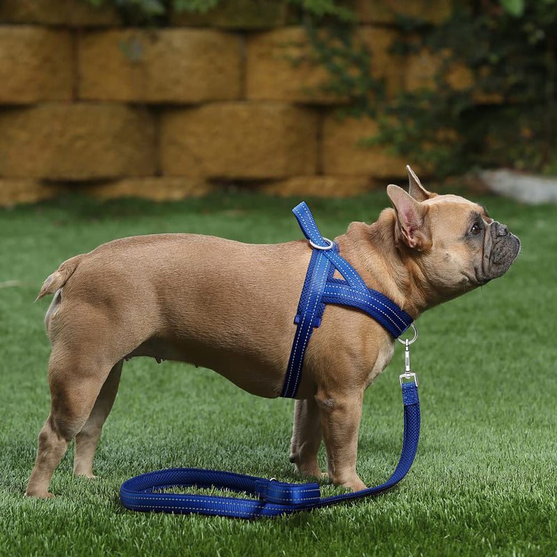 Plutus Pet No Pull Dog Harness with Breathable Mesh Padded, Adjustable Reflective Escape Proof Dog Harness, Quick Fit Dog Vest Harness for Small Medium Large Dogs M: chest 20.5"-26.4" Navy Blue - BeesActive Australia