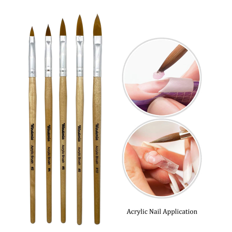 Winstonia Acrylic Nail Brush Set 5 Pcs Size 2,4,6,8,10 - Professional Brushes Kit Oval Shape for Liquid and Powder Uses Salon Quality - BeesActive Australia