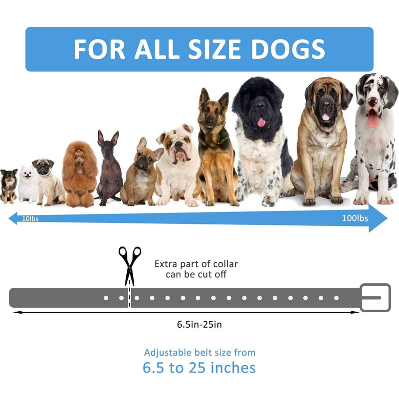 LuckinPET Waterproof Dog Collar Replacement Strap for Shock Collar and Fence Easy Clean Odorless Dog Collar Metal Buckle 3/4 Inch Adjustable Size Durable Anti-Odor TPU Dog Collar Cyan Pack2 Solid - BeesActive Australia