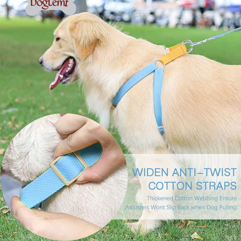 ZIRVYIR Dog Halter Harness Medium Brown-Blue - BeesActive Australia