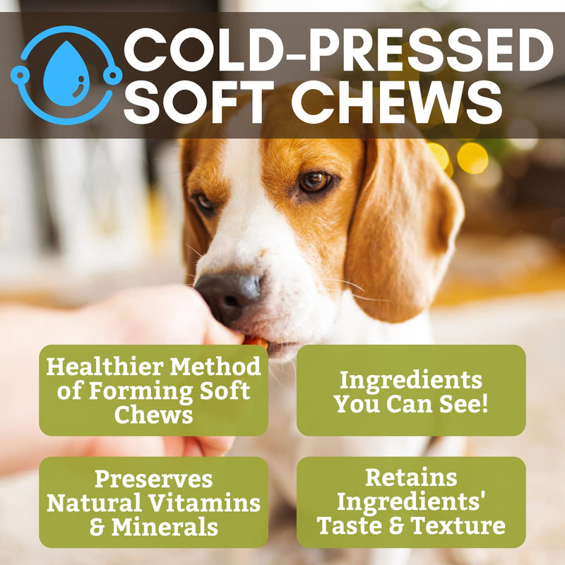 Wholistic Pet Organics:Dog Probiotics and Digestive Enzymes-Probiotic Chews for Dogs Digestive Health,Support Gut Health Immune Supplement Prevents Dog Digestive Problems-Puppy Probiotic Original 120 Count - BeesActive Australia