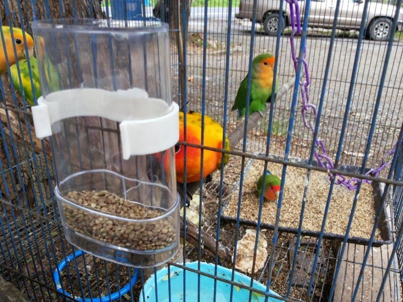 Hypeety Bird Feed Water Dispenser 2 PC Pet Feeder and Water Cup 200ml / 7.05 oz Clear Bird Cage Feeder for Finch Parakeet Small Bird (Color Random & Pack of 2) - BeesActive Australia