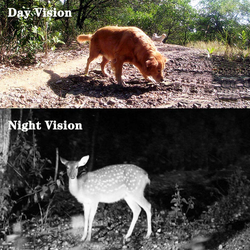 Trail Game Camera 4K 20MP, Hunting Camera with Night Vision Motion Activated Waterproof Camera 0.2s Trigger Time Scouting Cam 2.4” LCD IR LEDs 120° Wide Angle for Wildlife Home Monitoring Trail Game Camera-A - BeesActive Australia