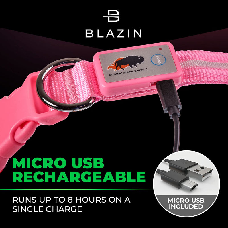 Blazin LED Light Up Dog Collar - 1,000 Feet of Visibility - Brightest for Night Safety - USB Rechargeable with Water Resistant Glowing Dog Collar Light Medium (Pack of 1) Pink - BeesActive Australia