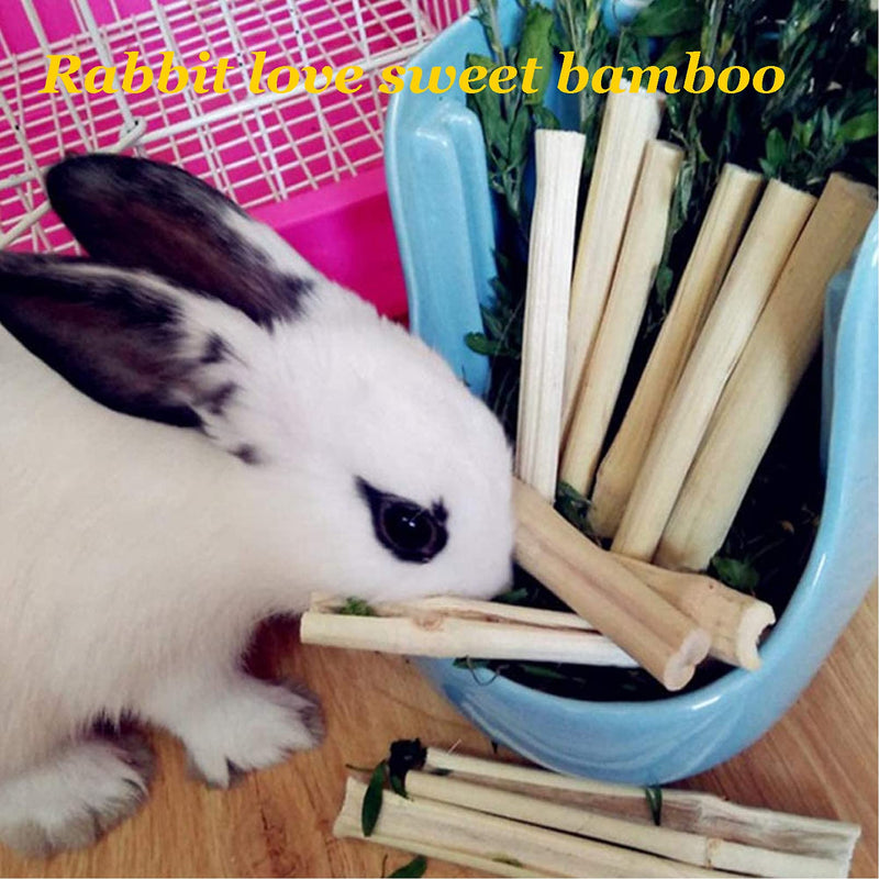 Tfwadmx Rabbit Litter Box Toilet Bunny Corner Litter Pan Pet Toilet Potty Trainer with Scoop Rabbit Chew Toys for Guinea Pigs Galesaur Chinchilla Ferret Small Animal White - BeesActive Australia