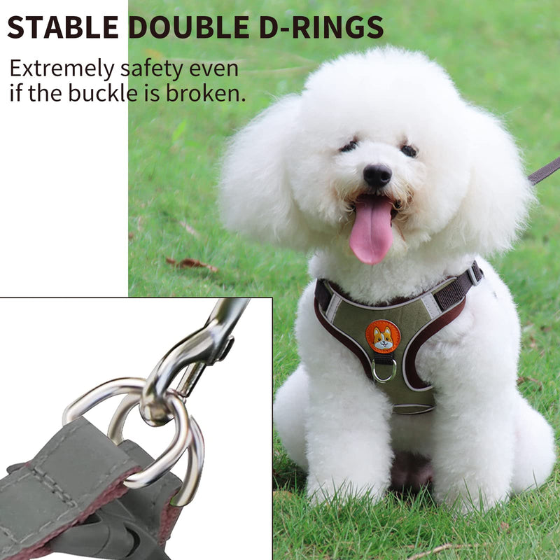 Small Dog Harness No Pull, Adjustable Dog Harness and Leash Set with 2 Leash Clips, Reflective Soft Padded Dog Vest Harness for Small Medium Dogs S (ref: 4.0 to 6.6 lbs) Brown - BeesActive Australia
