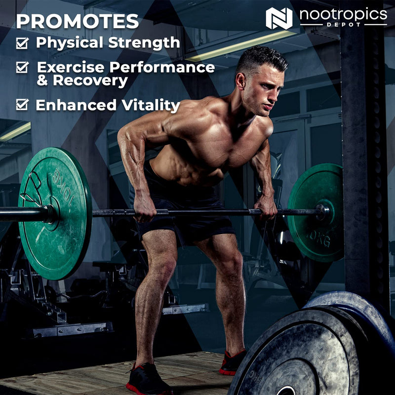 Nootropics Depot Cistanche tubulosa Tablets | 200mg | 60 Count | Minimum 50% Echinacoside + 10% Acetoside (Verbascoside) | Promotes Physical Strength and Energy | Promotes Vitality 60 Count (Pack of 1) - BeesActive Australia