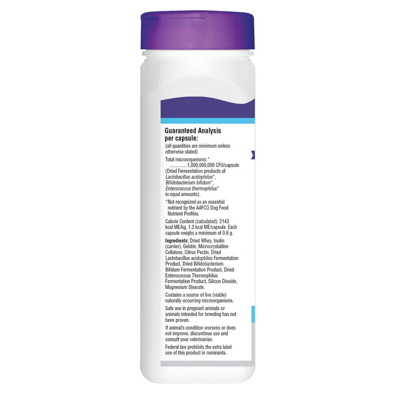 Essential Pet Probiotics with Direct-fed Microorganisms for Digestive Support in Dogs - BeesActive Australia