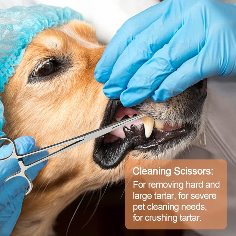 ofikpaloe Dog Teeth Scaler, Double Headed Spatula, Stainless Steel, Tartar Remover Pet Teeth Cleaning Tool for Dogs and Cats 7pcs - BeesActive Australia