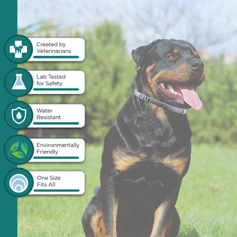Flea and Tick Collar for Small Dog, Made with Natural Plant Based Essential Oil, Safe and Waterproof, Free Comb and Prevention Treatment Drop, 2x6 Month, 13.8 in (2 Packs) - BeesActive Australia
