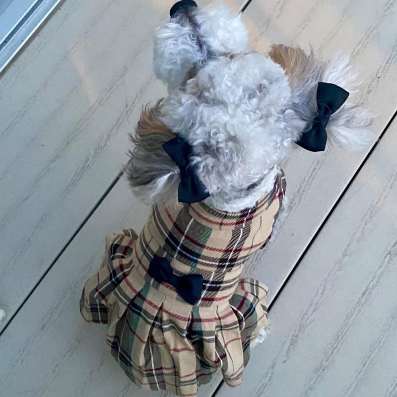 PUPTECK Adjustable Pet Harness Collar Leash with Dress for Small Dogs Puppy and Cats - BeesActive Australia