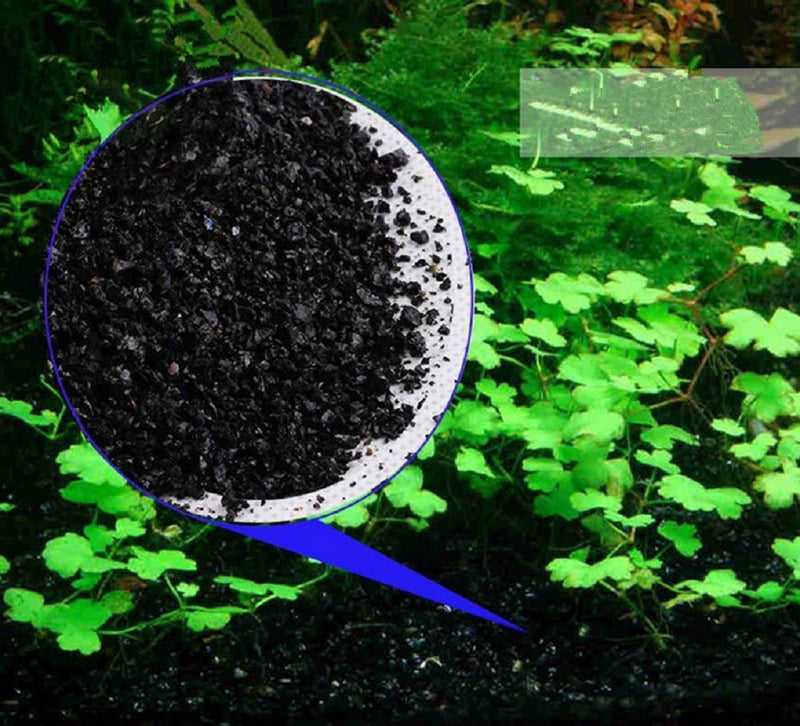 1 LB Gorgeous Aquarium Decoration - Aquarium Black Bottom Sand - Succulents Pavement - BeesActive Australia