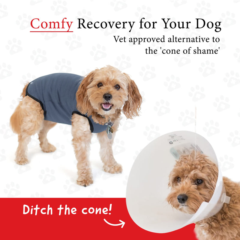 BellyGuard - After Surgery Dog Onesie, Recovery Suit for Dogs, Comfortable Substitute for Cone for Dogs After Surgery,Dog Recovery Suit with Stretch-Fit Cotton Material and Adjustable Rear Flap Medium Grey - BeesActive Australia