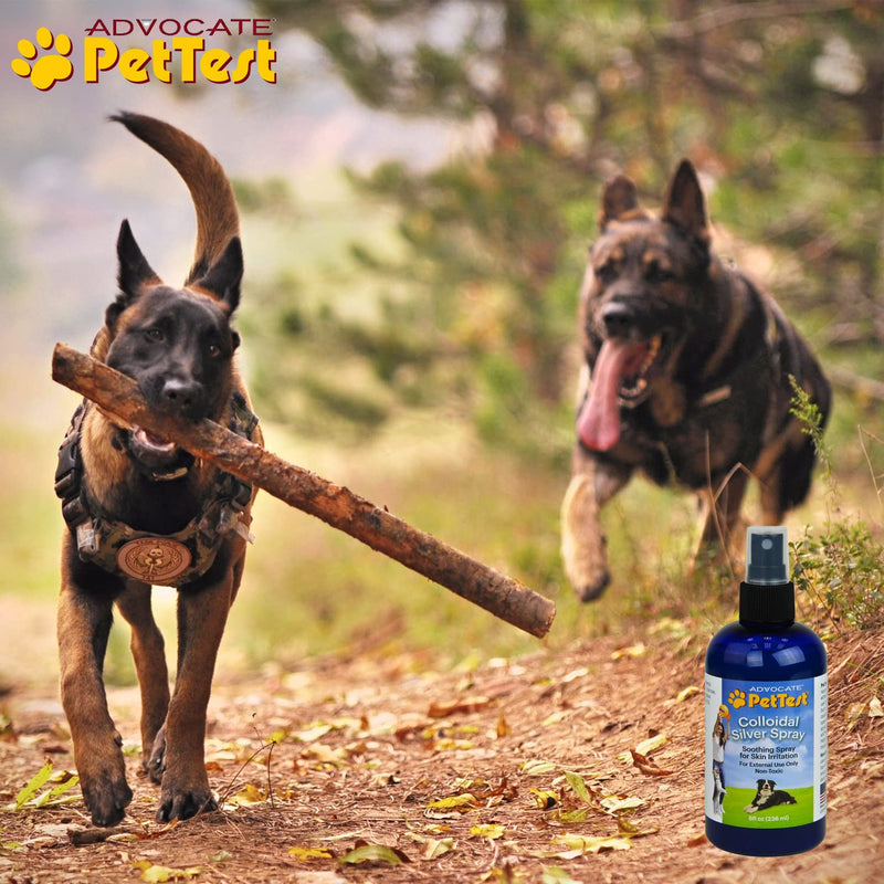 Advocate Pettest Colloidal Silver Spray Formulated for Dogs, Best Dog Antibiotic Treatment for Hot Spots, Burns, Irritations, Rashes, Wounds, Cuts & Scratches 8oz - BeesActive Australia