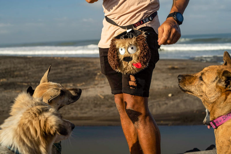 Tequila&Bones Dog Treat Bag Training Pouch, Hands-Free Dog Treat Pouch, Dog Walking Pouch, Waist Bag | Washable Inner Bag | with Belt, Clip & Drawstring Closure RUSTY - BeesActive Australia