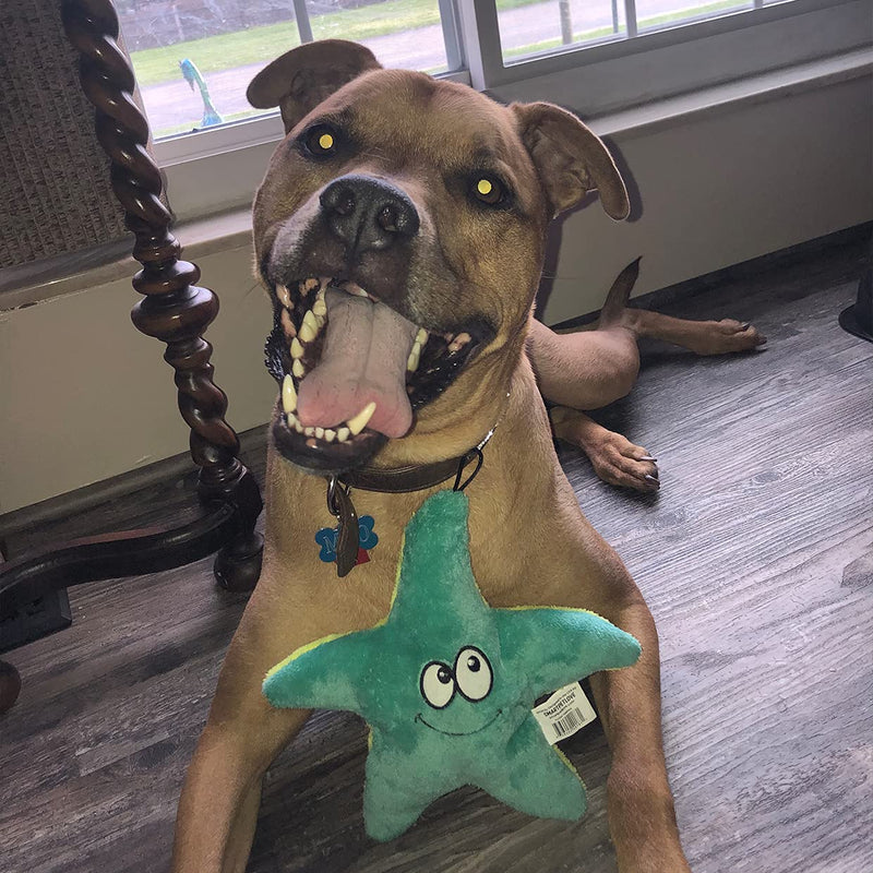 Snuggle Puppy Tender-Tuffs Easy Grab - Small Squeaky Soft Plush Starfish Dog Toy - Great for Puppies and Adult Dogs - BeesActive Australia