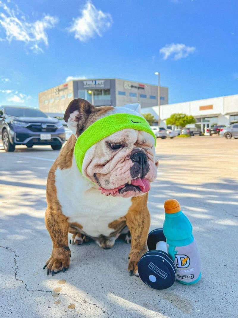 Fitness Funny Dog Toys - Doggyade and Doggy Dumbell Workout Parody Cute Dog Toys - 2 Pack Workout Pack - BeesActive Australia