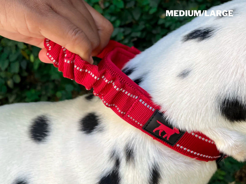 Tuff Pupper Heavy Duty Dog Collar with Handle | Ballistic Nylon Heavy Duty Collar | Padded Reflective Dog Collar with Adjustable Stainless Steel Hardware | Convenient Sizing for All Breeds Medium/Large (14 - 18" Neck) March Red - BeesActive Australia
