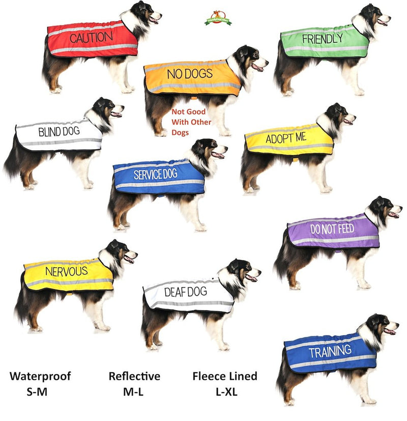 Dexil Limited Adopt ME Yellow Color Coded 2 4 6 Foot Padded Handle Dog Leash (New Home Needed) Donate to Your Local Charity 4 Foot Leash - BeesActive Australia