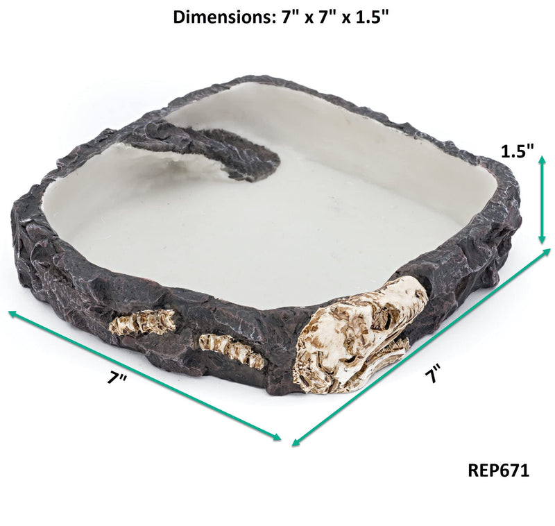 Penn-PLAX Reptology Reptile Fossil Rock Food/Water Dish – Great for Bearded Dragons, Geckos, Chameleons, Snakes, Hermit Crabs, and Many More Large - BeesActive Australia
