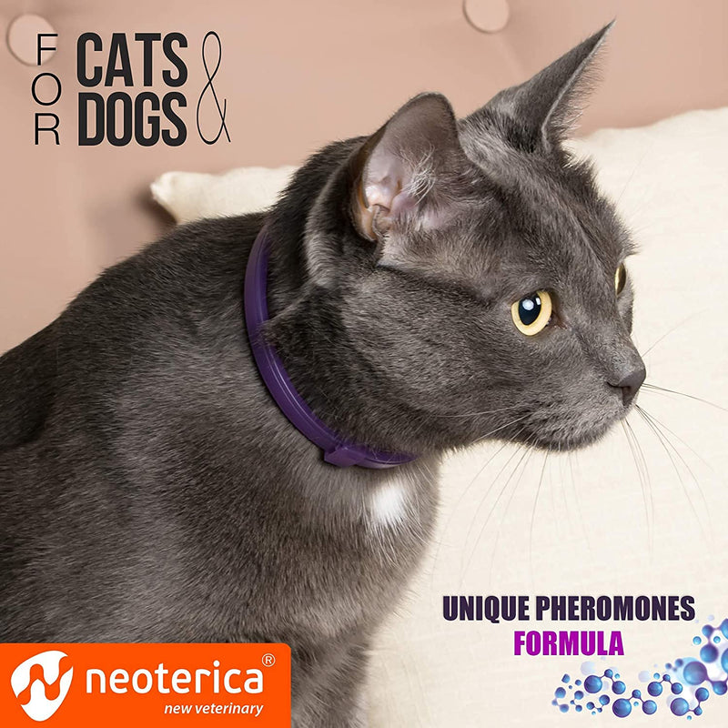 Cat Calming Collar & Pet Anti Anxiety Products - Feline Calm Pheromones Collars & Cats Stress Relief - Relaxivet Comfort Helps with Pee, New Zone, Aggression, Fighting with Dogs & Other Behavior 2 Count (Pack of 1) - BeesActive Australia