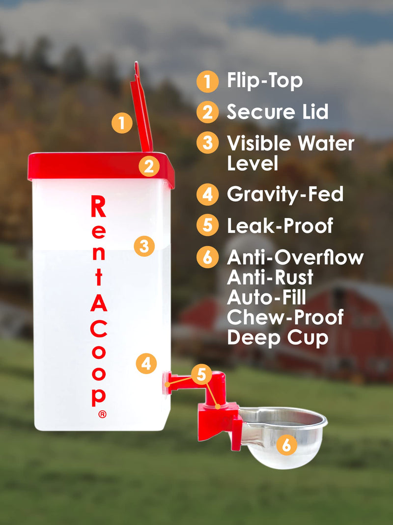 No-Drip 32oz Small Animal Drinking Bottle with Auto-Fill Metal Cup for Small Pet/Bunny/Ferret/Hamster/Guinea Pig/Rabbit/Chinchilla/Mouse/Rat. Food Grade Plastic (32oz) - BeesActive Australia
