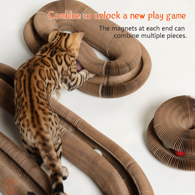 CusieryMax Cat Ball Toy, Deformable Cat Ball Track for Indoor Cats, combinable Magic Organ Cat Scratchboard with Ball, Interactive Mental Physical Training Exercise for Kitten. - BeesActive Australia