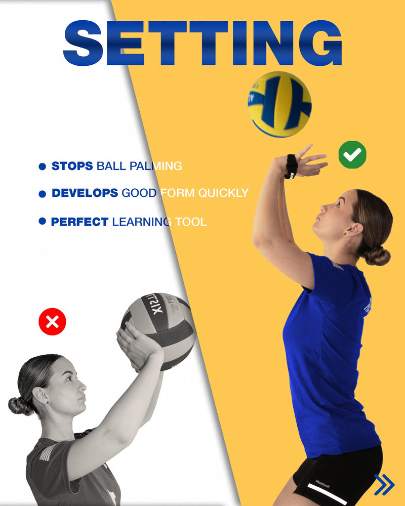 Regius Volleyball Training Equipment 3.0 - Premium Solo Trainer, Perfect for Beginners Practicing Serving, Setting and Spiking, Great Gift Idea … Bundle - BeesActive Australia