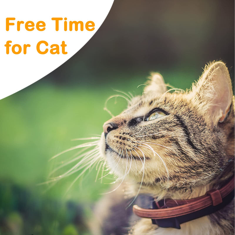 Extra Long Cat Leash for Yard, Lightweight Outdoor Cat Leash Long Light Extension, Long Thin Lead for Rabbits, Kitten, Puppy and Small Animals 4.5M/15FT - BeesActive Australia