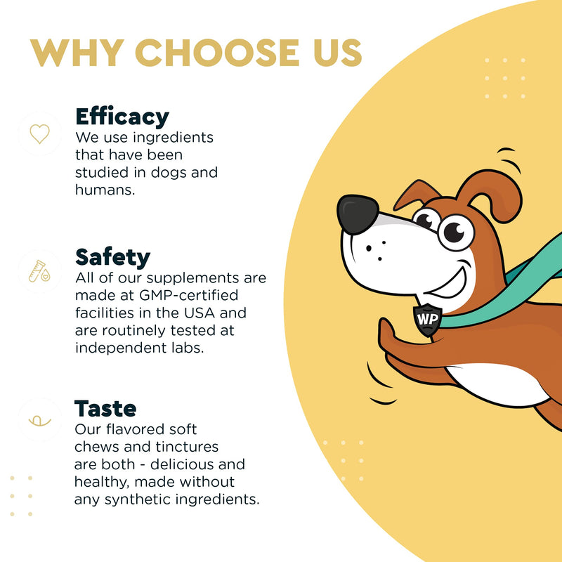 Wonder Paws Fish Oil For Dogs - Omega 3 For Dogs From Alaskan Salmon, Cod & Krill Oil - EPA DHA Fatty Acids - Less Shedding & Itching - Skin, Joint, Immune & Heart Health - 16 oz Pet Liquid Supplement - BeesActive Australia